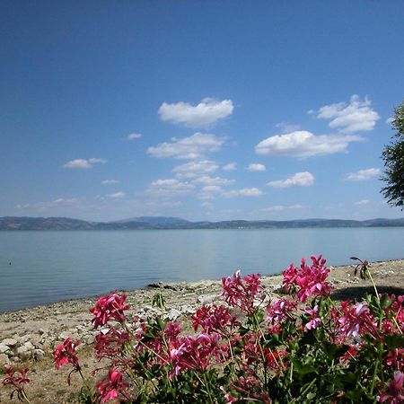 Hotel Aganoor Castiglione del Lago Εξωτερικό φωτογραφία