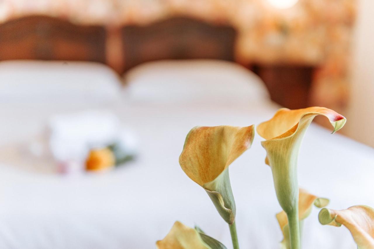 Hotel Aganoor Castiglione del Lago Εξωτερικό φωτογραφία