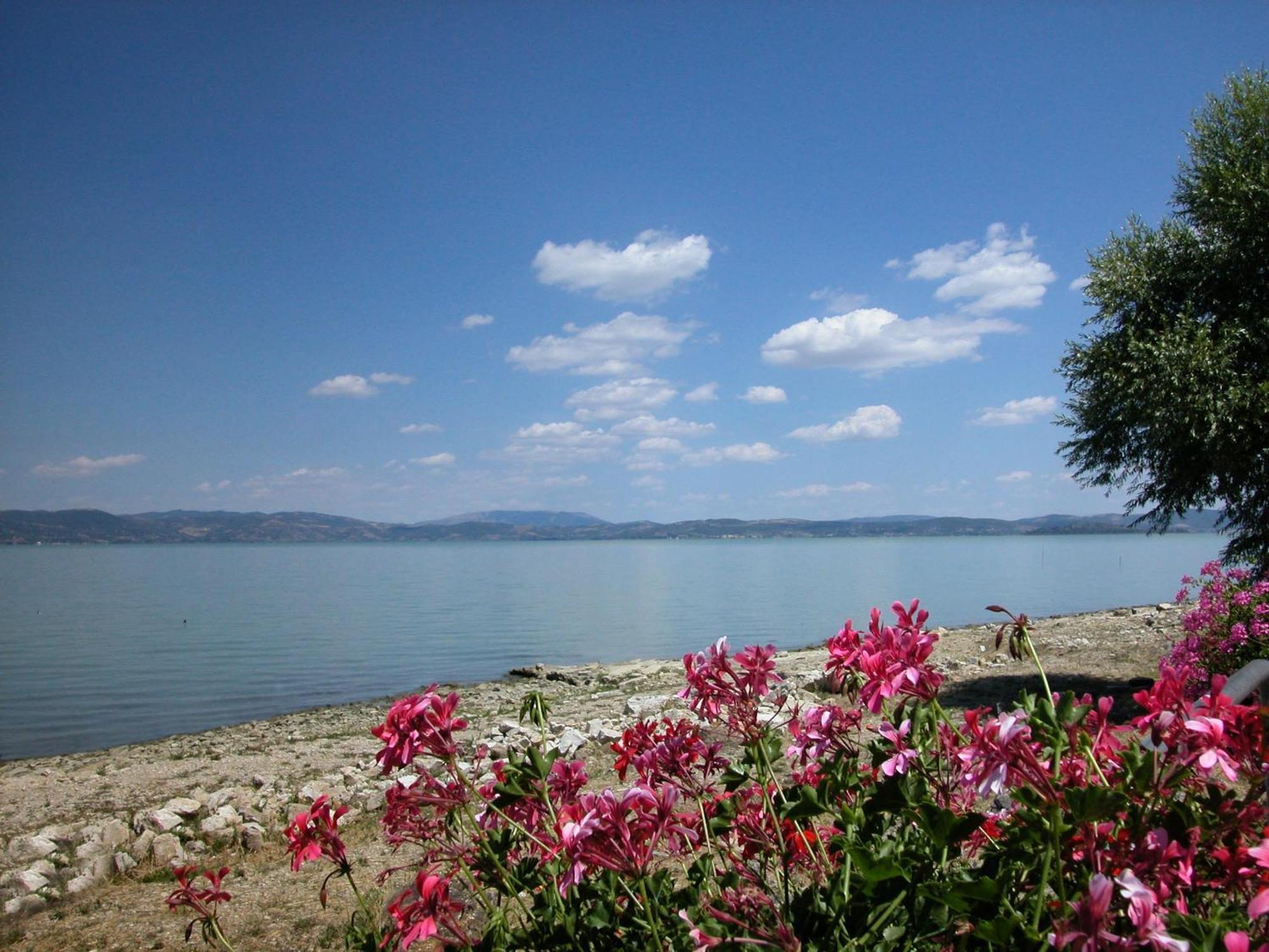 Hotel Aganoor Castiglione del Lago Εξωτερικό φωτογραφία